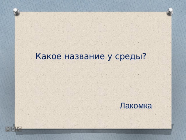  Какое название у среды? Лакомка 