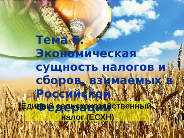 Тема 6. Экономическая сущность налогов и сборов, взимаемых в Российской Федерации Единый сельскохозяйственный налог (ЕСХН) 