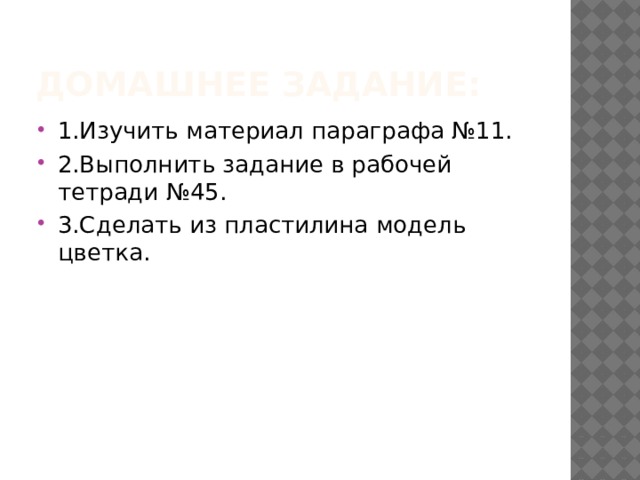 Домашнее задание: 1.Изучить материал параграфа №11. 2.Выполнить задание в рабочей тетради №45. 3.Сделать из пластилина модель цветка. 