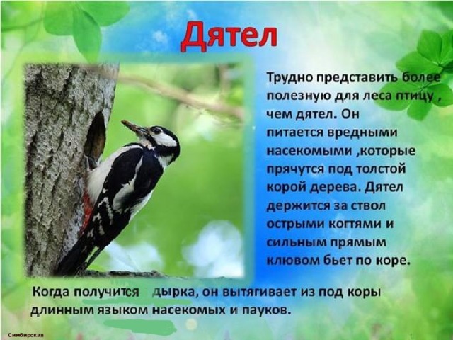  Симбирская М.А. 
