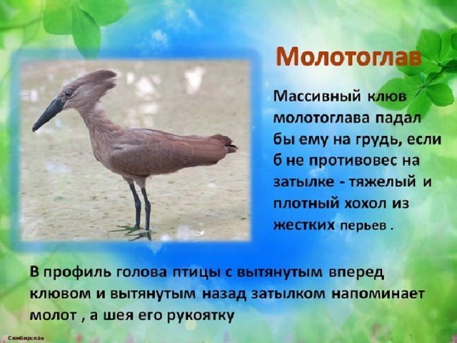  Симбирская М.А. 