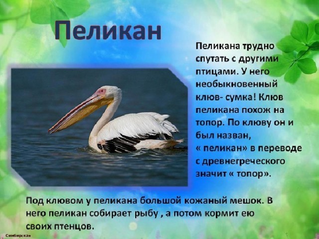 Симбирская М.А. 