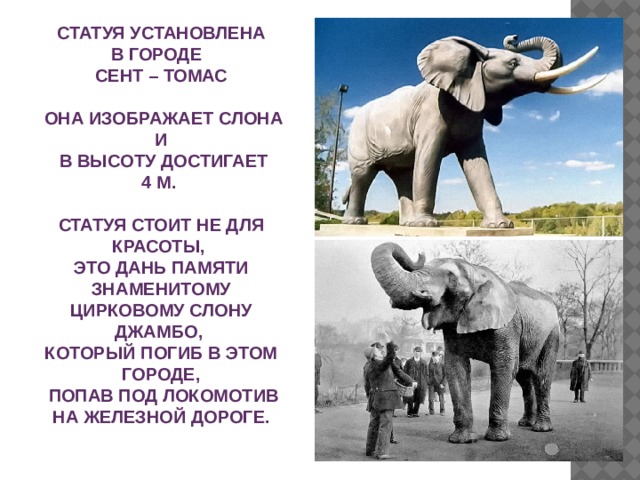 СТАТУЯ УСТАНОВЛЕНА В ГОРОДЕ СЕНТ – ТОМАС   ОНА ИЗОБРАЖАЕТ СЛОНА И   В ВЫСОТУ ДОСТИГАЕТ 4 М.  СТАТУЯ СТОИТ НЕ ДЛЯ КРАСОТЫ, ЭТО ДАНЬ ПАМЯТИ ЗНАМЕНИТОМУ ЦИРКОВОМУ СЛОНУ ДЖАМБО, КОТОРЫЙ ПОГИБ В ЭТОМ ГОРОДЕ,  ПОПАВ ПОД ЛОКОМОТИВ НА ЖЕЛЕЗНОЙ ДОРОГЕ. 