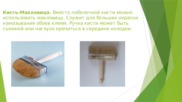 Кисть макловица рисунок