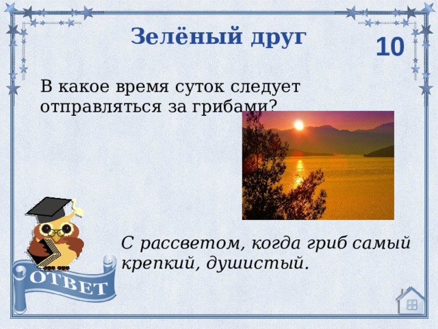 Зелёный друг 10 В какое время суток следует отправляться за грибами? С рассветом, когда гриб самый крепкий, душистый. 