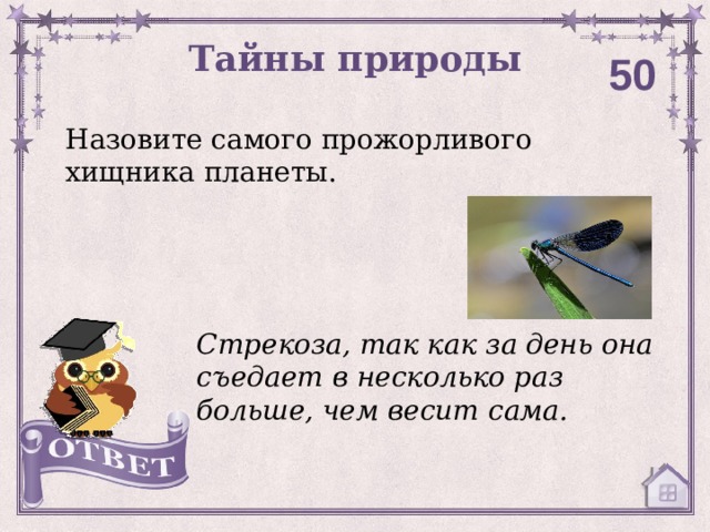 Тайны природы 50 Назовите самого прожорливого хищника планеты. Стрекоза, так как за день она съедает в несколько раз больше, чем весит сама. 