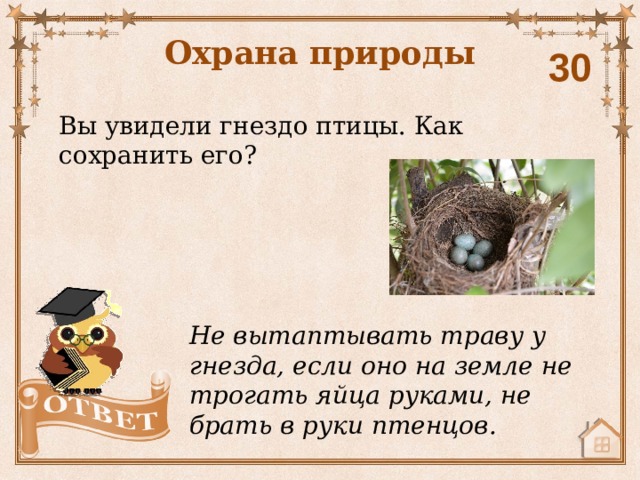 Охрана природы 30 Вы увидели гнездо птицы. Как сохранить его? Не вытаптывать траву у гнезда, если оно на земле не трогать яйца руками, не брать в руки птенцов. 