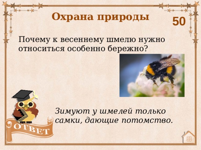 Охрана природы 50 Почему к весеннему шмелю нужно относиться особенно бережно? Зимуют у шмелей только самки, дающие потомство. 