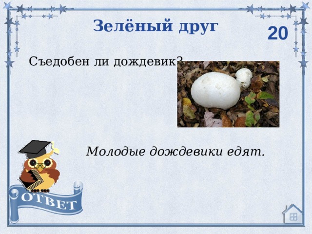 Зелёный друг  20 Съедобен ли дождевик? Молодые дождевики едят. 