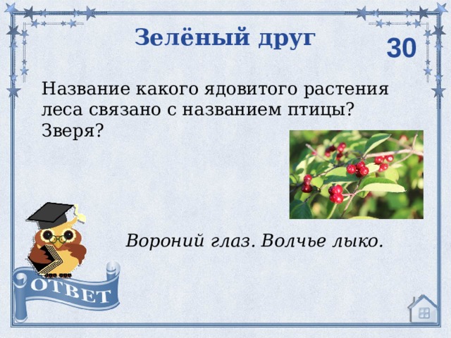 Зелёный друг  30 Название какого ядовитого растения леса связано с названием птицы? Зверя? Вороний глаз. Волчье лыко. 