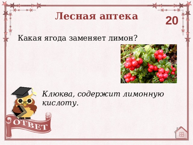 Лесная аптека 20 Какая ягода заменяет лимон? Клюква, содержит лимонную кислоту. 