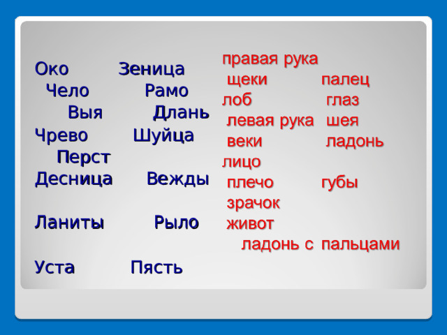 Око Зеница Чело Рамо Выя Длань Чрево Шуйца Перст Десница Вежды Ланиты Рыло Уста Пясть 