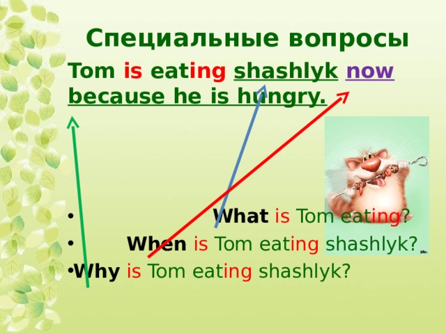 Специальные вопросы Tom is eat ing  shashlyk  now  because he is hungry.     What  is Tom eat ing ?  When  is Tom eat ing shashlyk? Why  is Tom eat ing shashlyk? 