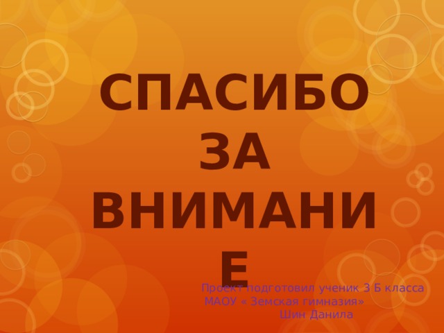 СПАСИБО ЗА ВНИМАНИЕ Проект подготовил ученик 3 Б класса МАОУ « Земская гимназия» Шин Данила 