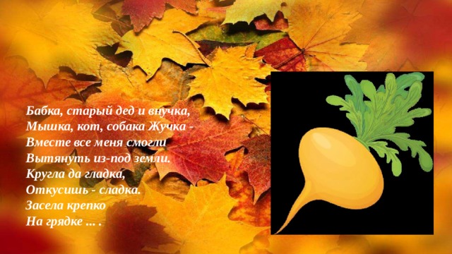 Бабка, старый дед и внучка, Мышка, кот, собака Жучка - Вместе все меня смогли Вытянуть из - под земли. Кругла да гладка, Откусишь - сладка. Засела крепко На грядке ... . 