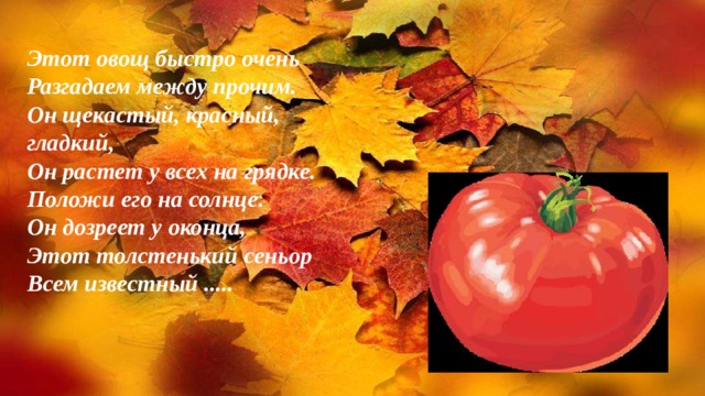Этот овощ быстро очень Разгадаем между прочим. Он щекастый, красный, гладкий, Он растет у всех на грядке. Положи его на солнце. Он дозреет у оконца, Этот толстенький сеньор Всем известный ..... 