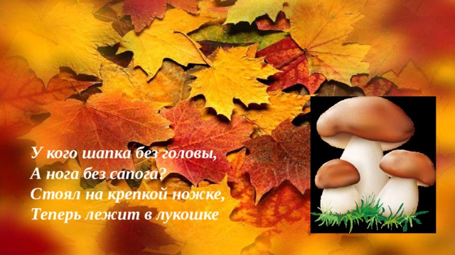 У кого шапка без головы, А нога без сапога? Стоял на крепкой ножке, Теперь лежит в лукошке 