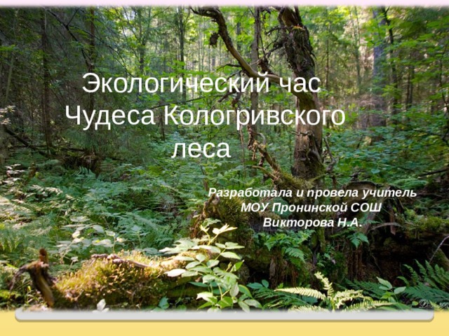 Экологический час Чудеса Кологривского леса олимпиада «Семь чудес «Кологривского леса» Разработала и провела учитель МОУ Пронинской СОШ Викторова Н.А. 