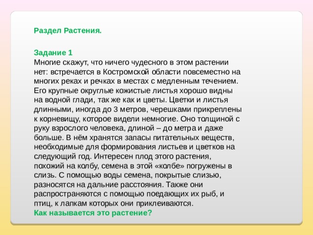 Раздел Растения. Задание 1 Многие скажут, что ничего чудесного в этом растении нет: встречается в Костромской области повсеместно на многих реках и речках в местах с медленным течением. Его крупные округлые кожистые листья хорошо видны на водной глади, так же как и цветы. Цветки и листья длинными, иногда до 3 метров, черешками прикреплены к корневищу, которое видели немногие. Оно толщиной с руку взрослого человека, длиной – до метра и даже больше. В нём хранятся запасы питательных веществ, необходимые для формирования листьев и цветков на следующий год. Интересен плод этого растения, похожий на колбу, семена в этой «колбе» погружены в слизь. С помощью воды семена, покрытые слизью, разносятся на дальние расстояния. Также они распространяются с помощью поедающих их рыб, и птиц, к лапкам которых они приклеиваются. Как называется это растение? 