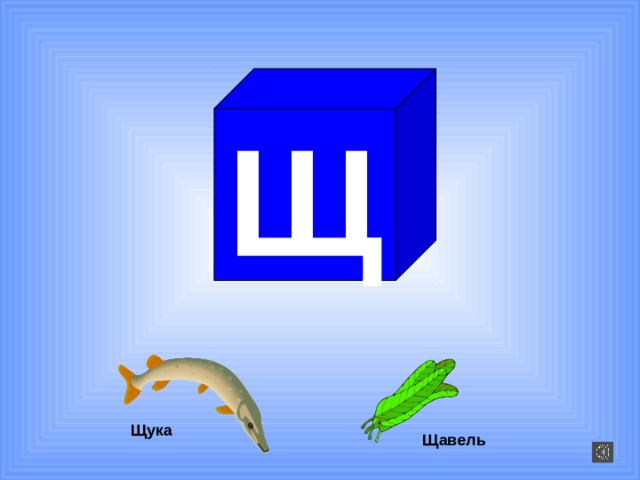 Щ Щука Щавель 