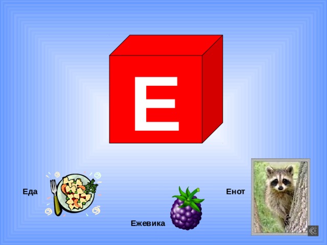 Е Енот Еда Ежевика 