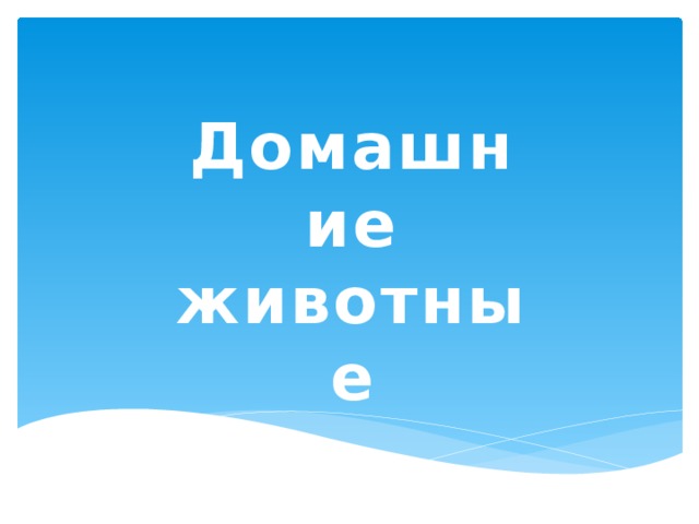 Домашние животные  