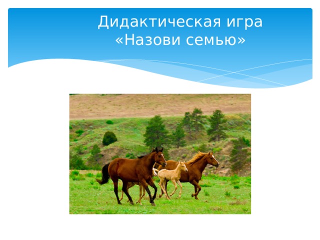 Дидактическая игра  «Назови семью» 
