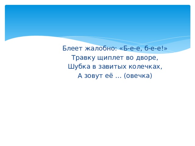 Блеет жалобно: «Б-е-е, б-е-е!» Травку щиплет во дворе, Шубка в завитых колечках, А зовут её … (овечка) 