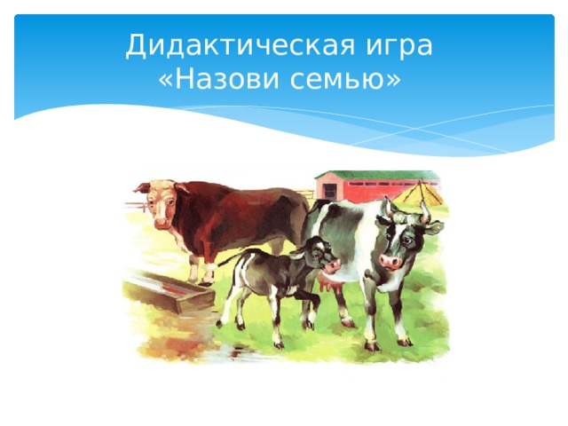 Дидактическая игра  «Назови семью» 