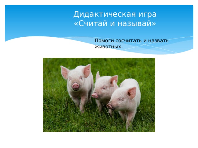 Дидактическая игра  «Считай и называй» Помоги сосчитать и назвать животных. 
