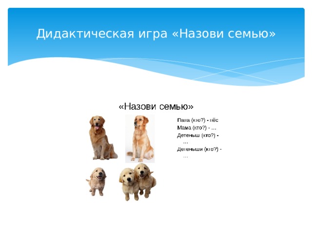 Дидактическая игра «Назови семью» 