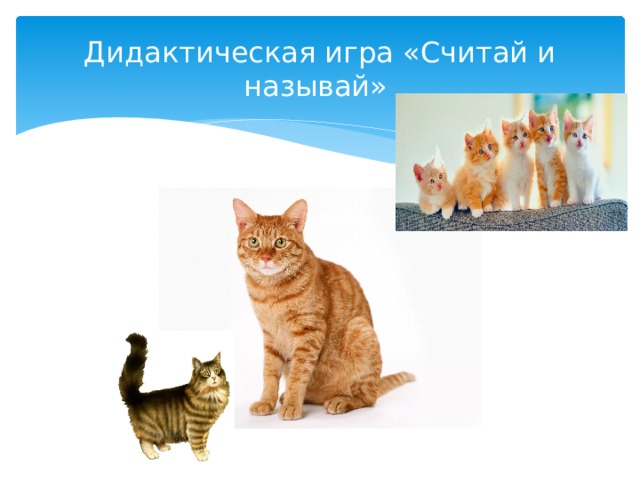 Дидактическая игра «Считай и называй» 