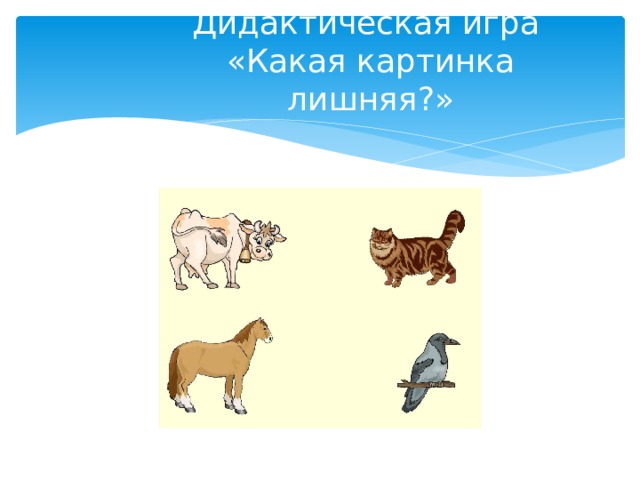 Дидактическая игра  «Какая картинка лишняя?» 