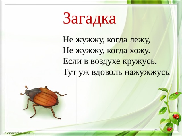 Загадка  Не жужжу, когда лежу, Не жужжу, когда хожу. Если в воздухе кружусь, Тут уж вдоволь нажужжусь . 