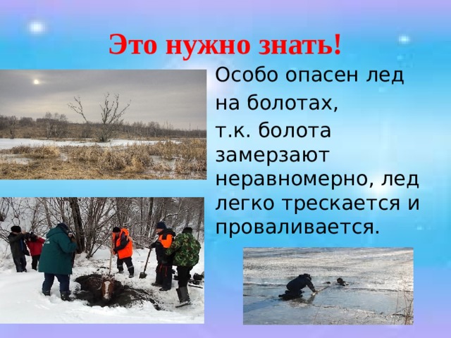 Это нужно знать!  Особо опасен лед  на болотах,  т.к. болота замерзают неравномерно, лед легко трескается и проваливается. 