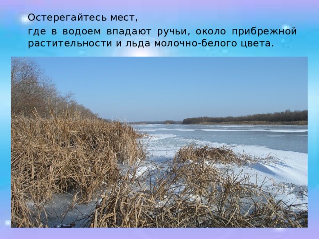  Остерегайтесь мест,  где в водоем впадают ручьи, около прибрежной растительности и льда молочно-белого цвета. 