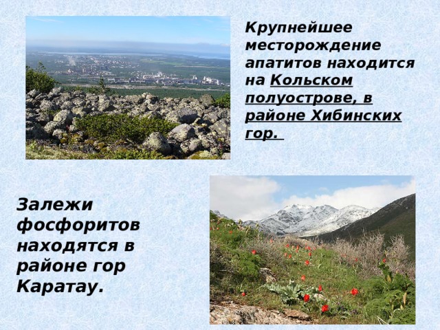 Крупнейшее месторождение апатитов находится на Кольском  полуострове, в районе Хибинских гор. Залежи фосфоритов находятся в районе гор Каратау.   