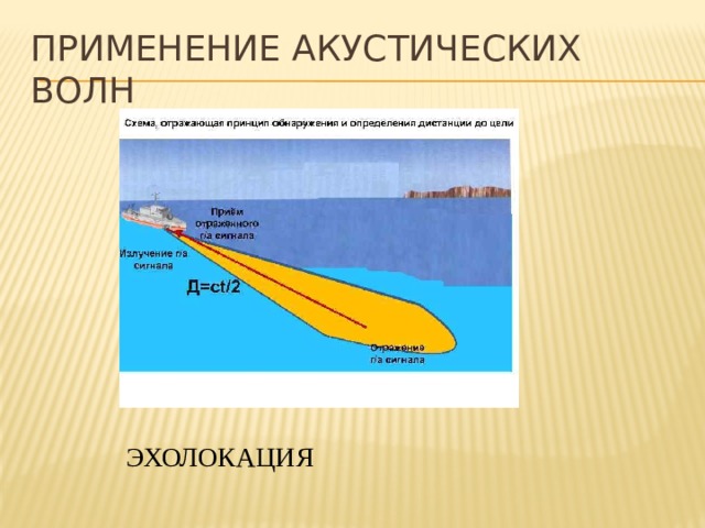 ПРИМЕНЕНИЕ АКУСТИЧЕСКИХ ВОЛН Акустика является наиболее информативным инструментальным методом исследования океана. Это- например, эхолоты, посылающие короткий звуковой импульс и по времени задержки эха от дна позволяющие измерить глубину моря. С помощью таких приборов удалось обнаружить на морском дне хребты и глубокие впадины и в конечном счете построить карты дна Мирового океана. ЭХОЛОКАЦИЯ  