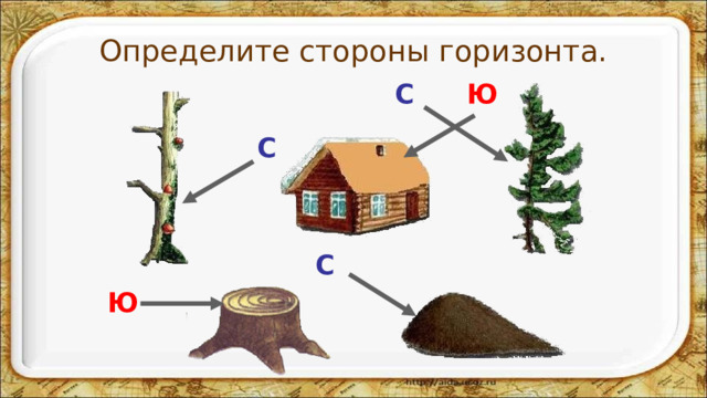 Определите стороны горизонта. Ю С С С Ю 