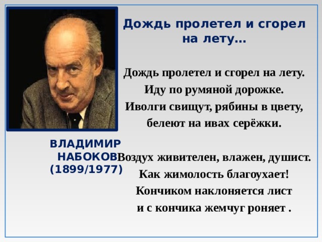 В набоков дождь пролетел и сгорел на лету презентация