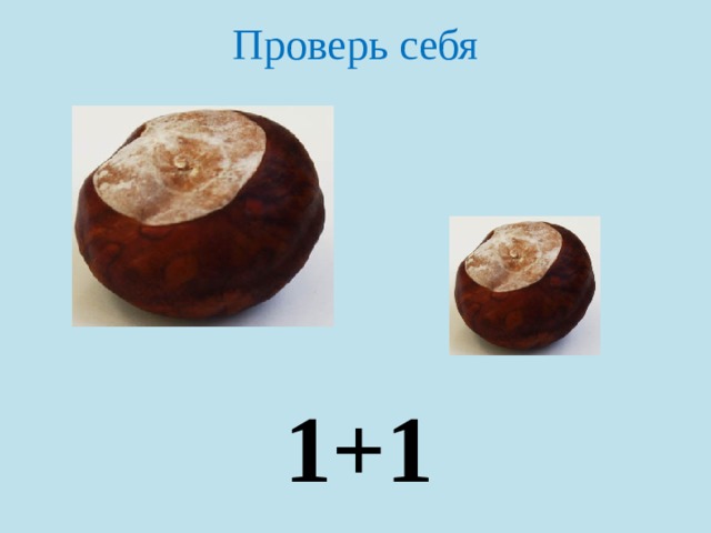 Проверь себя 1+1 