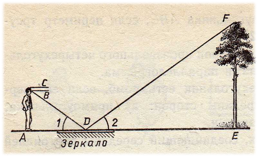 Предмет подобие. Измерение высоты дерева с помощью подобия треугольников. Определение высоты предмета с помощью зеркала. Измерение высоты объекта с помощью зеркала. Измерение высоты дерева с помощью зеркала.