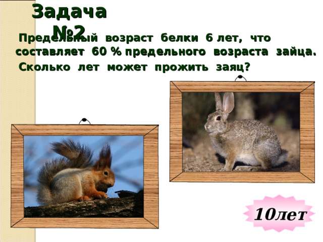 Белки и зайцы живут. Заяц осенью и зимой. Заяц презентация для детей. Возраст зайца. Растительный и животный мир чувашии.