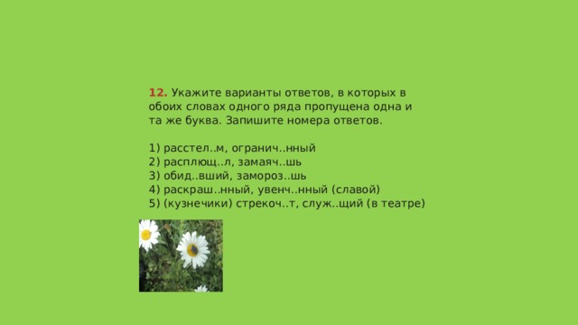 12.  Укажите варианты ответов, в которых в обоих словах одного ряда пропущена одна и та же буква. Запишите номера ответов.   1) расстел..м, огранич..нный  2) расплющ..л, замаяч..шь  3) обид..вший, замороз..шь  4) раскраш..нный, увенч..нный (славой)  5) (кузнечики) стрекоч..т, служ..щий (в театре)   Ответ 12 