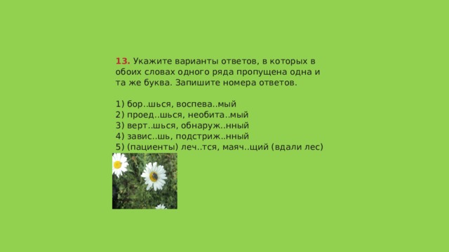 13.  Укажите варианты ответов, в которых в обоих словах одного ряда пропущена одна и та же буква. Запишите номера ответов.   1) бор..шься, воспева..мый  2) проед..шься, необита..мый  3) верт..шься, обнаруж..нный  4) завис..шь, подстриж..нный  5) (пациенты) леч..тся, маяч..щий (вдали лес)   Ответ 125 