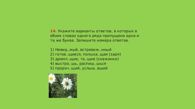 14.  Укажите варианты ответов, в которых в обоих словах одного ряда пропущена одна и та же буква. Запишите номера ответов.   1) Невид..мый, встревож..нный  2) готов..щиеся, полыха..щая (заря)  3) дремл..щие, та..щие (снежинки)  4) выстро..шь, распиш..шься  5) пророч..щий, услыш..вший   Ответ 35 