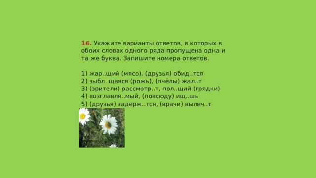 16.  Укажите варианты ответов, в которых в обоих словах одного ряда пропущена одна и та же буква. Запишите номера ответов.   1) жар..щий (мясо), (друзья) обид..тся  2) зыбл..щаяся (рожь), (пчёлы) жал..т  3) (зрители) рассмотр..т, пол..щий (грядки)  4) возглавля..мый, (повсюду) ищ..шь  5) (друзья) задерж..тся, (врачи) вылеч..т   Ответ 145 