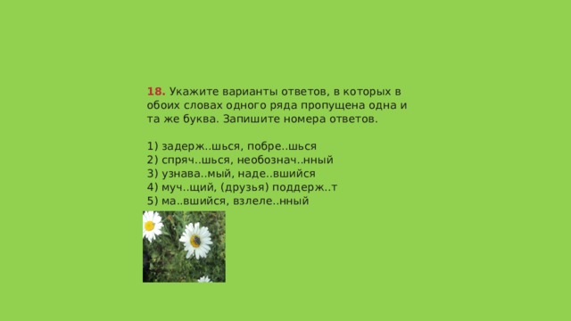 18.  Укажите варианты ответов, в которых в обоих словах одного ряда пропущена одна и та же буква. Запишите номера ответов.   1) задерж..шься, побре..шься  2) спряч..шься, необознач..нный  3) узнава..мый, наде..вшийся  4) муч..щий, (друзья) поддерж..т  5) ма..вшийся, взлеле..нный   Ответ 245 