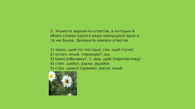 2.  Укажите варианты ответов, в которых в обоих словах одного ряда пропущена одна и та же буква. Запишите номера ответов.   1) завис..щий (от погоды), гон..щий (тучи)  2) оплач..нный, переворот..шь  3) (они) взбаламут..т, вид..щий (перспективу)  4) стел..щийся, раска..вшийся  5) стро..щееся (здание), рассе..нный   Ответ 135 