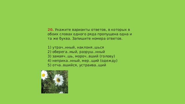 20.  Укажите варианты ответов, в которых в обоих словах одного ряда пропущена одна и та же буква. Запишите номера ответов.   1) утрач..нный, наклоня..шься  2) оберега..мый, разруш..нный  3) замаяч..шь, мороч..вший (голову)  4) неприка..нный, мер..щий (одежду)  5) отча..вшийся, устраива..щий   Ответ 1234 